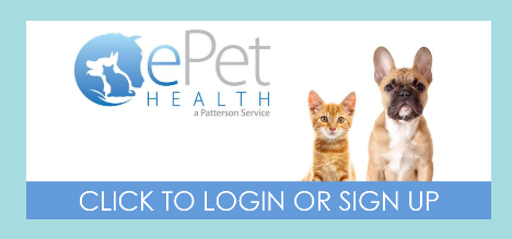 epethealth banner